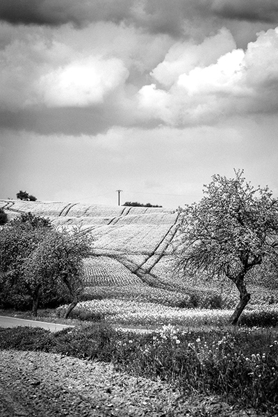 Křivky ztichlé krajiny, Slavonice, Česká kanada 2017